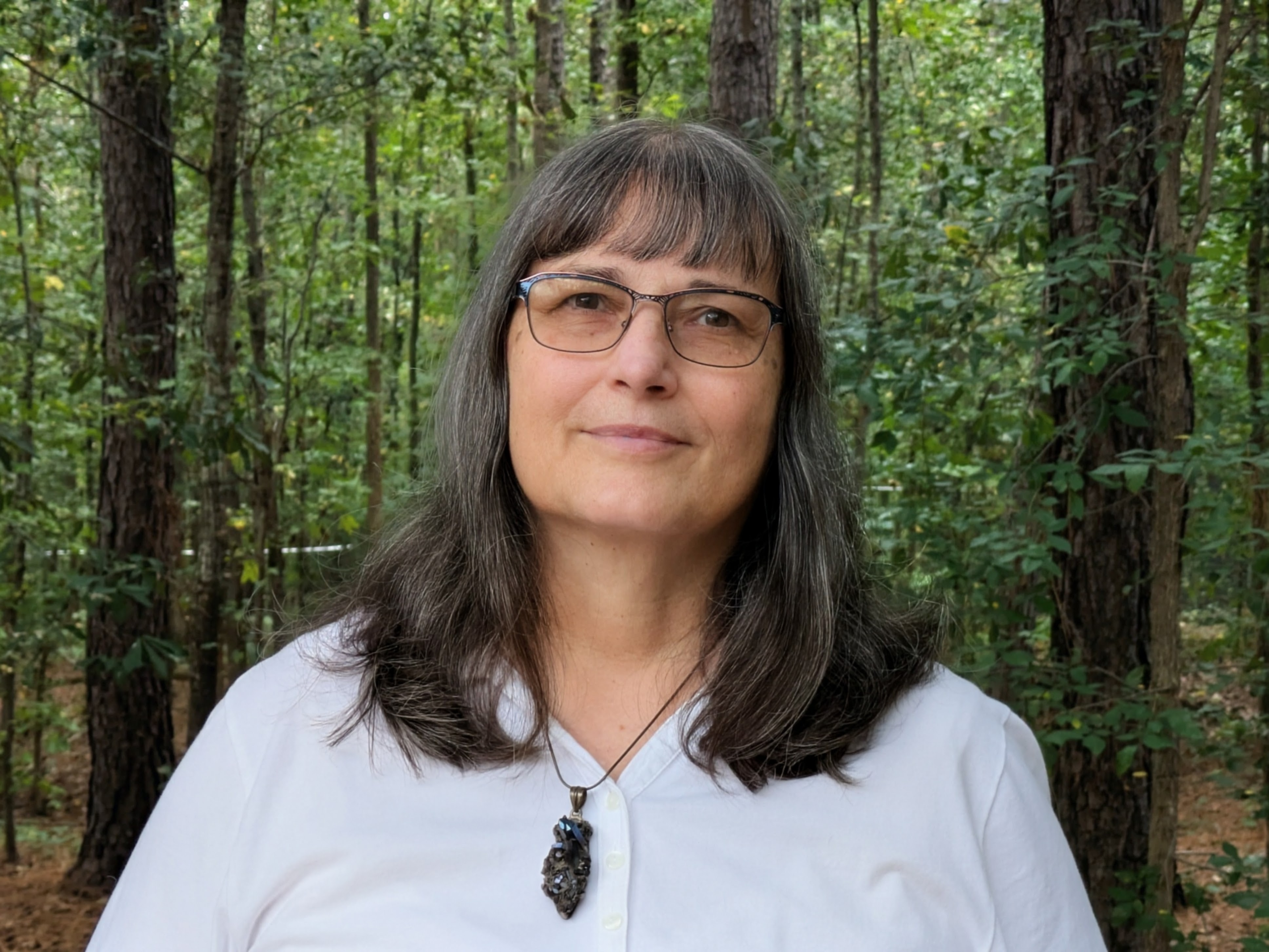 Story of the Two Wolves